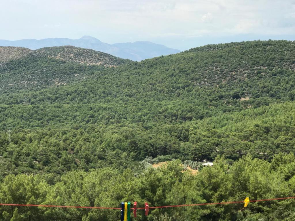Manzara House Lejlighed Kalkan Eksteriør billede